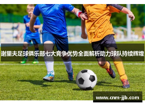 谢里夫足球俱乐部七大竞争优势全面解析助力球队持续辉煌 谢里夫足球俱乐部七大竞争优势全面解析助力球队持续辉煌