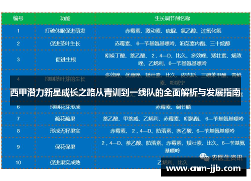 西甲潜力新星成长之路从青训到一线队的全面解析与发展指南
