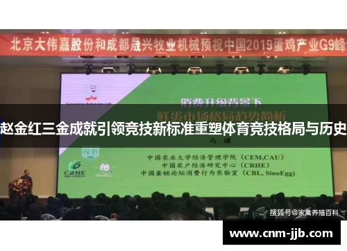 赵金红三金成就引领竞技新标准重塑体育竞技格局与历史