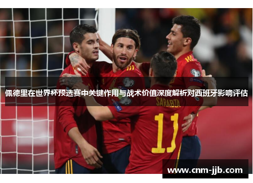 佩德里在世界杯预选赛中关键作用与战术价值深度解析对西班牙影响评估