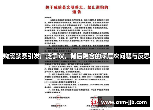 魏震禁赛引发广泛争议，背后隐含的深层次问题与反思